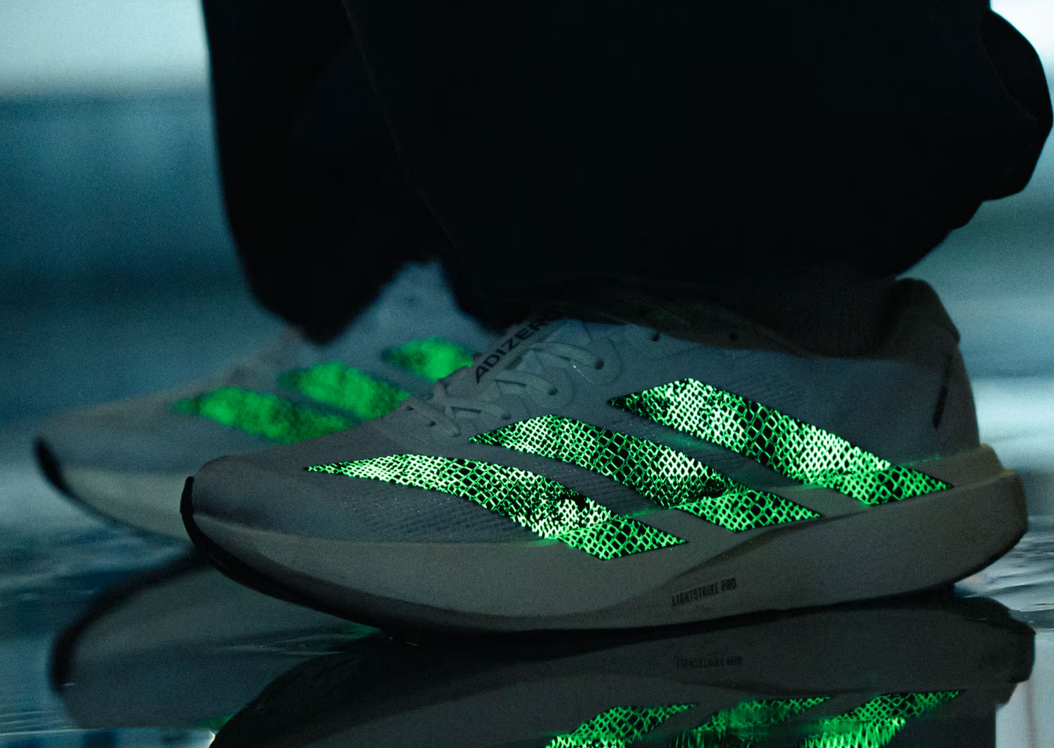 atmos x adidas Adizero Evo SL G-SNK White on foot