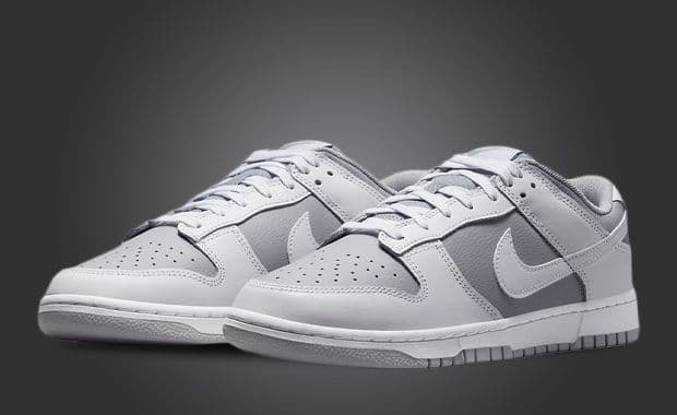 Pristine Grey And White Hues Adorn The Nike Dunk Low
