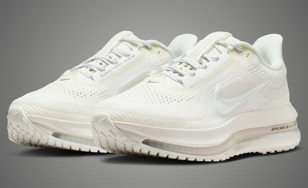 Nike Pegasus Premium Summit White (W)