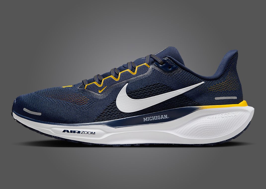 Nike Zoom Pegasus 41 Michigan