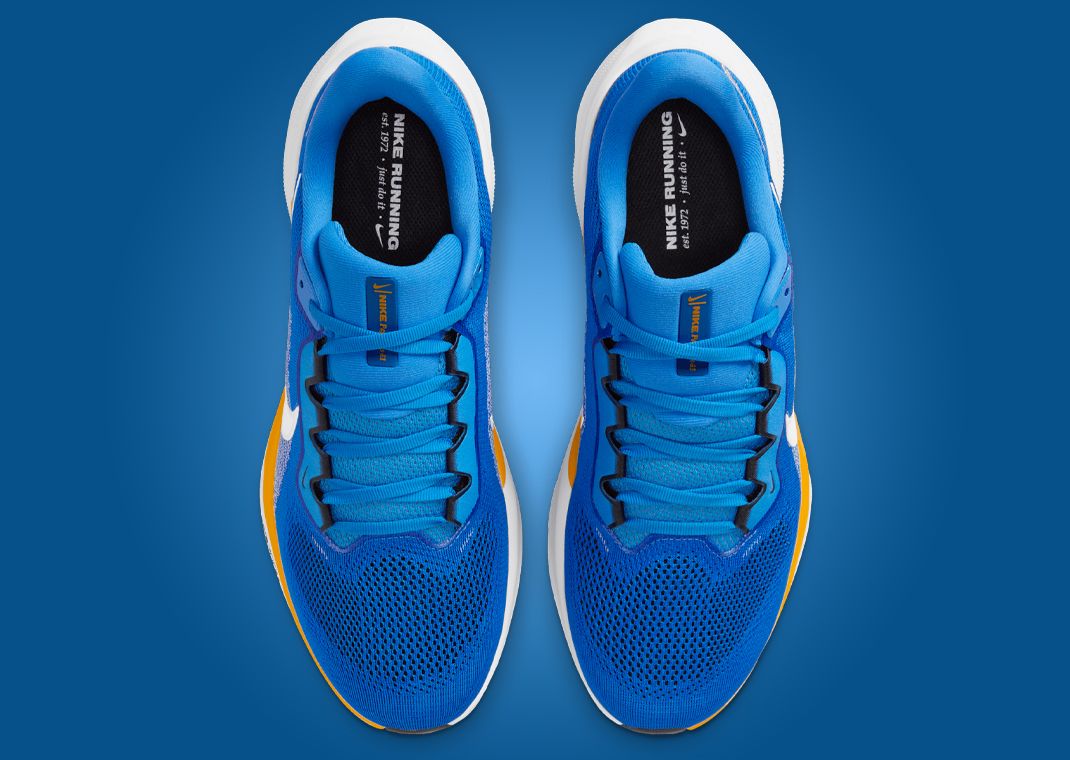 NFL x Nike Pegasus 41 Los Angeles Chargers Top