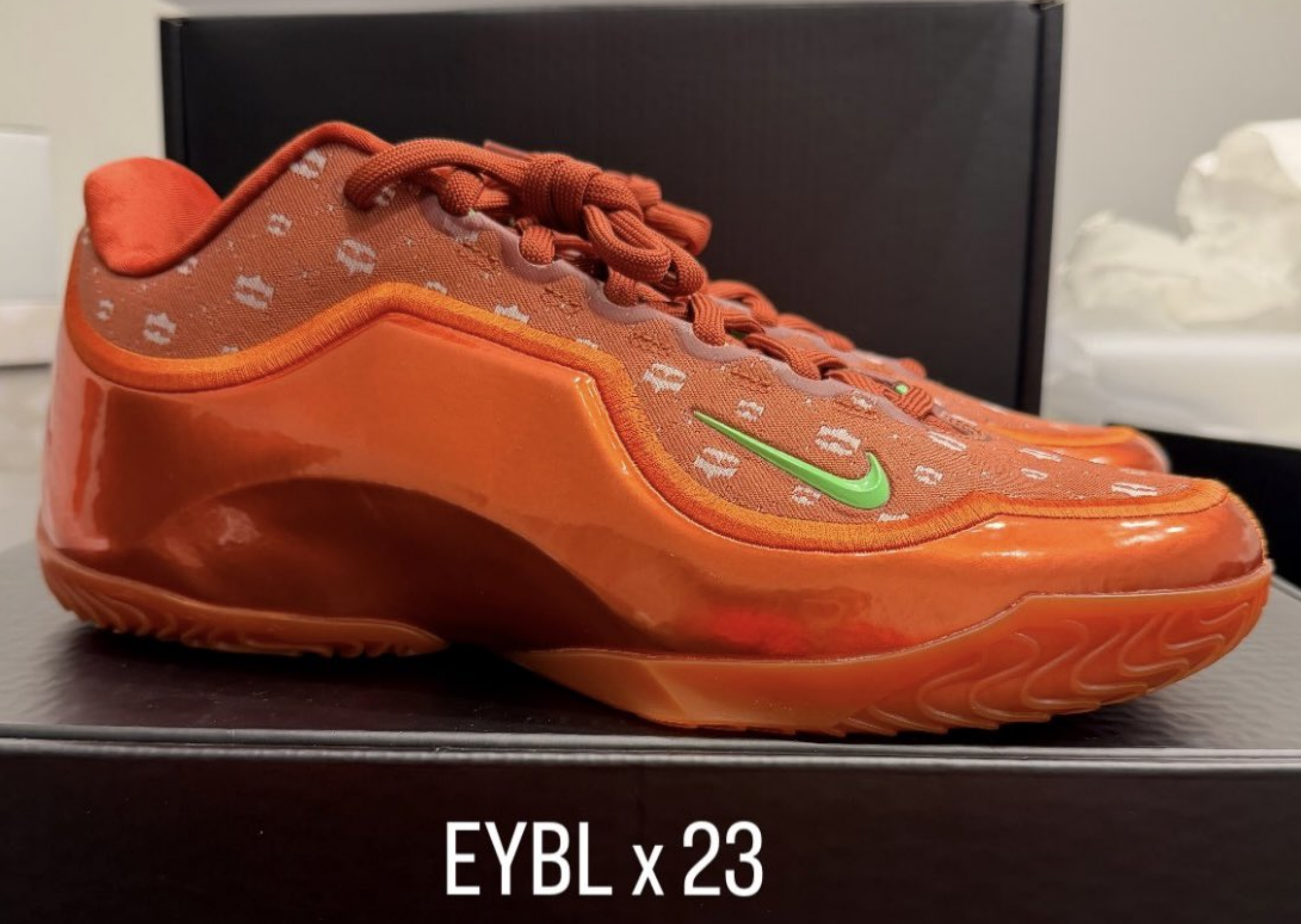 Nike LeBron 23 EYBL PE