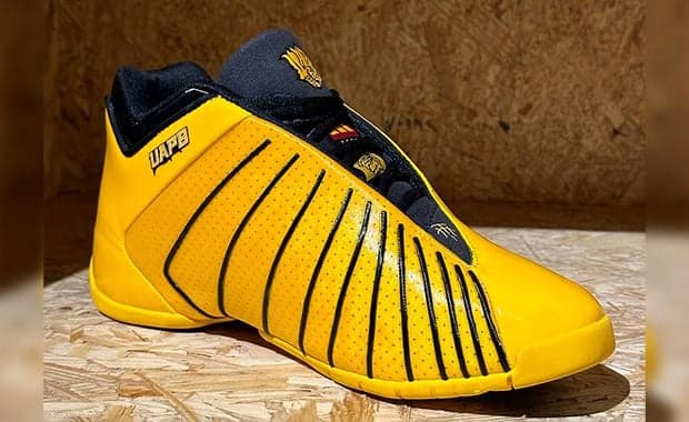 UAPB's Golden Lions Inspire This adidas TMAC 3