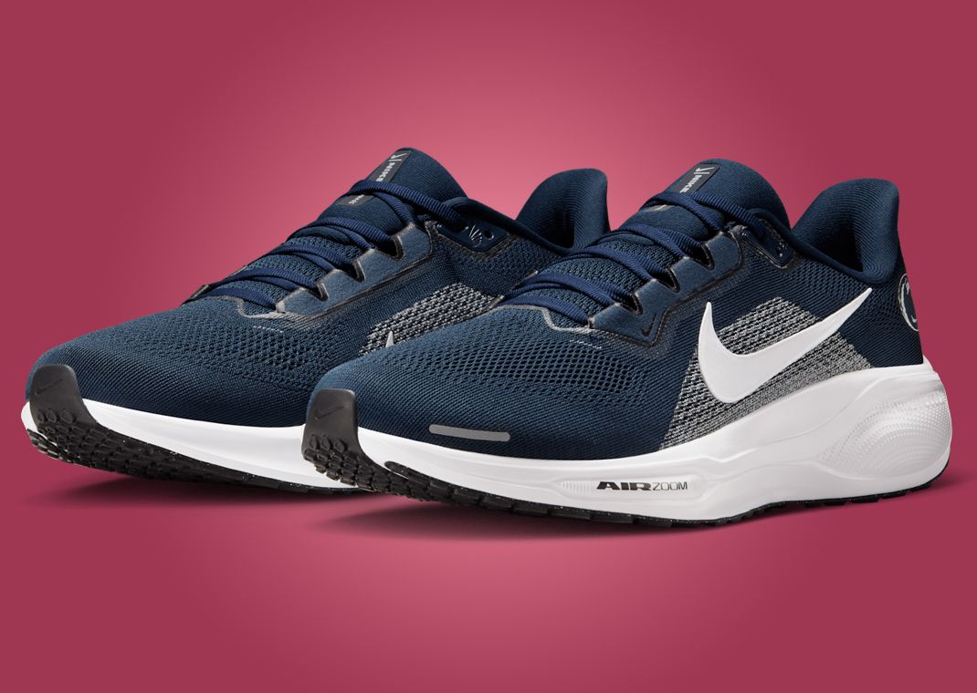 NCAA x Nike Pegasus 41 Penn State Angle