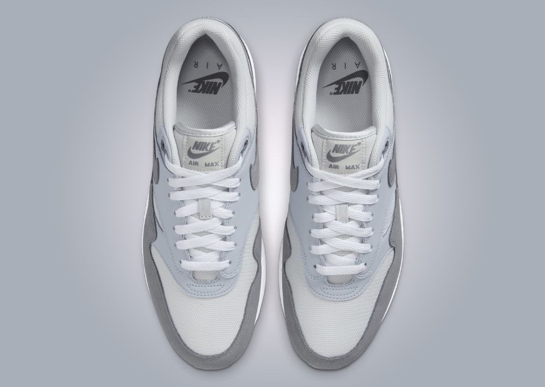 air max 1 photon dust