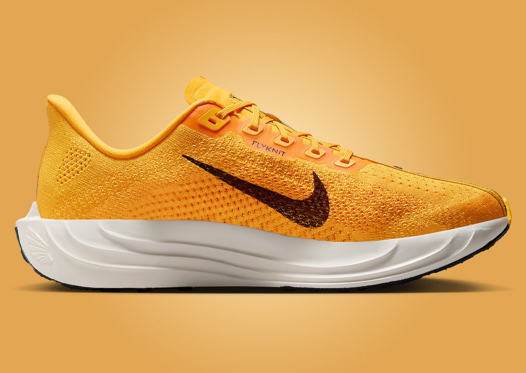 Nike Pegasus Plus Modern Mayfly Medial