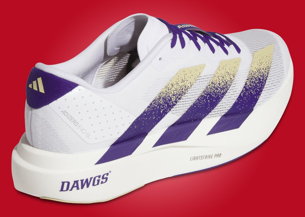 adidas Adizero Evo SL Washington Heel Angle