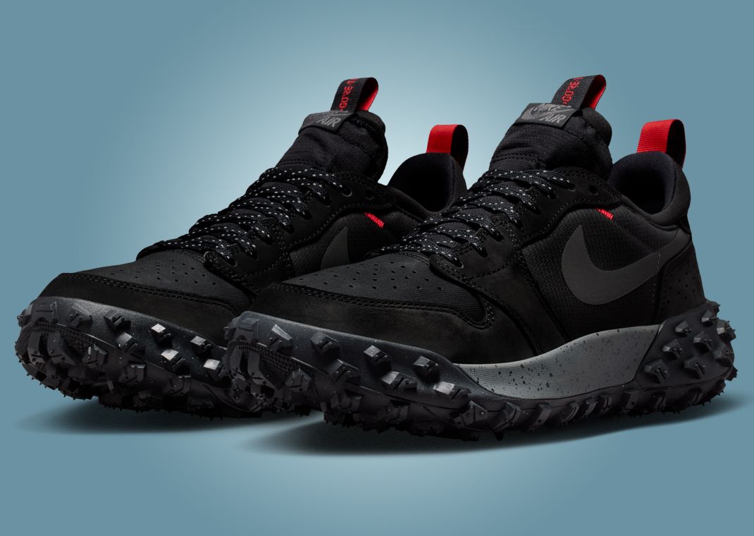 Air Jordan 1 Element Low Gore-Tex Black Angle