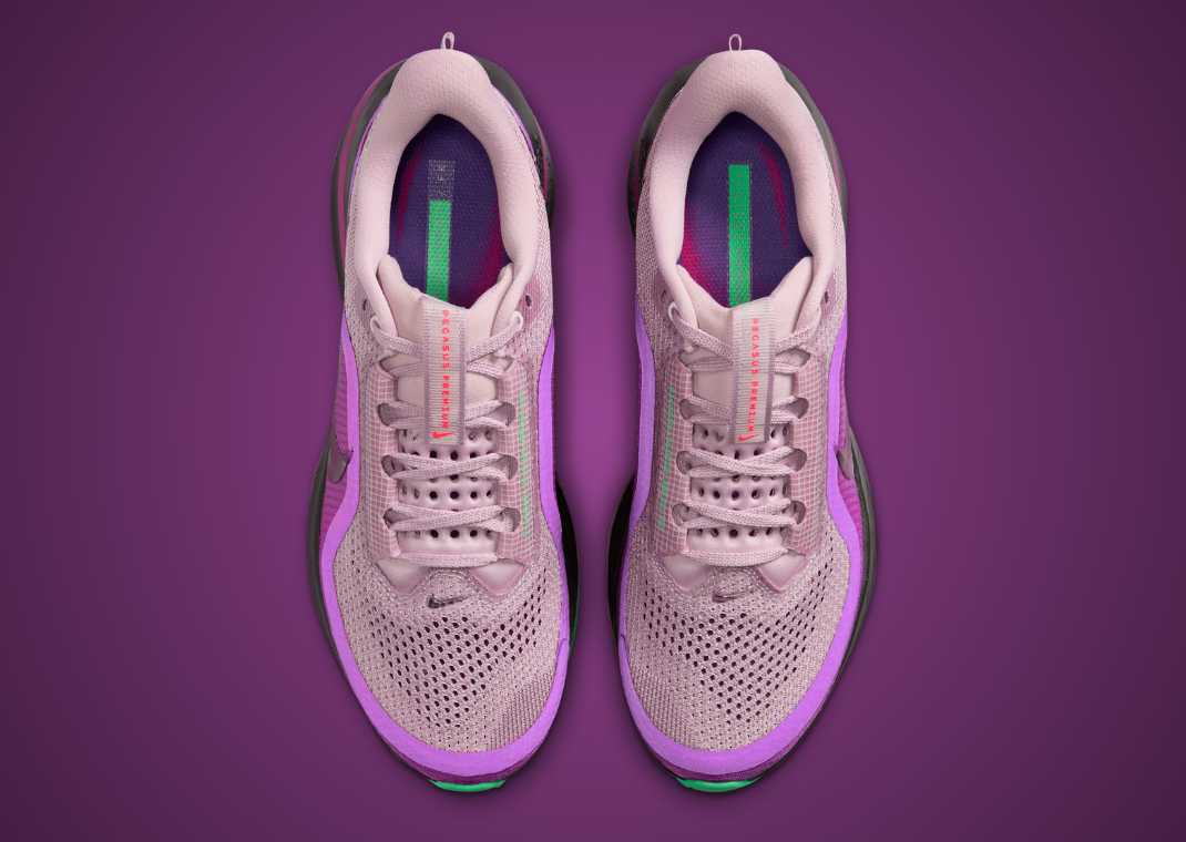 Faith Kipyegon x Nike Pegasus Premium Top