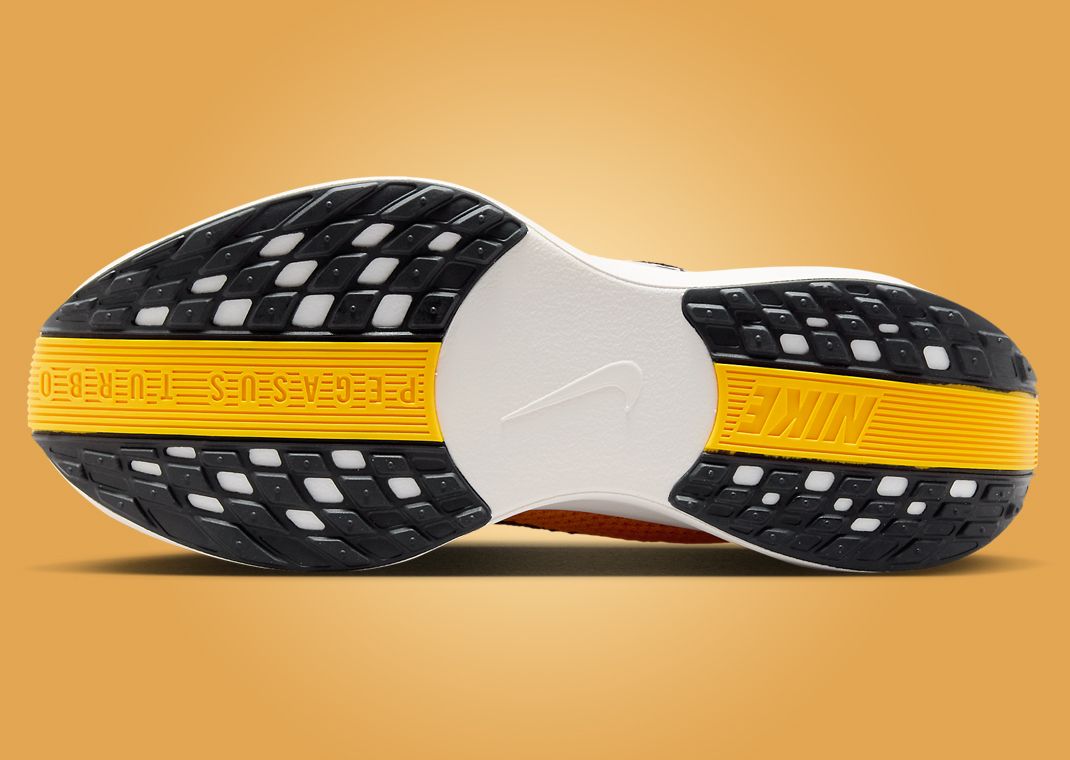 Nike Pegasus Plus Modern Mayfly Outsole