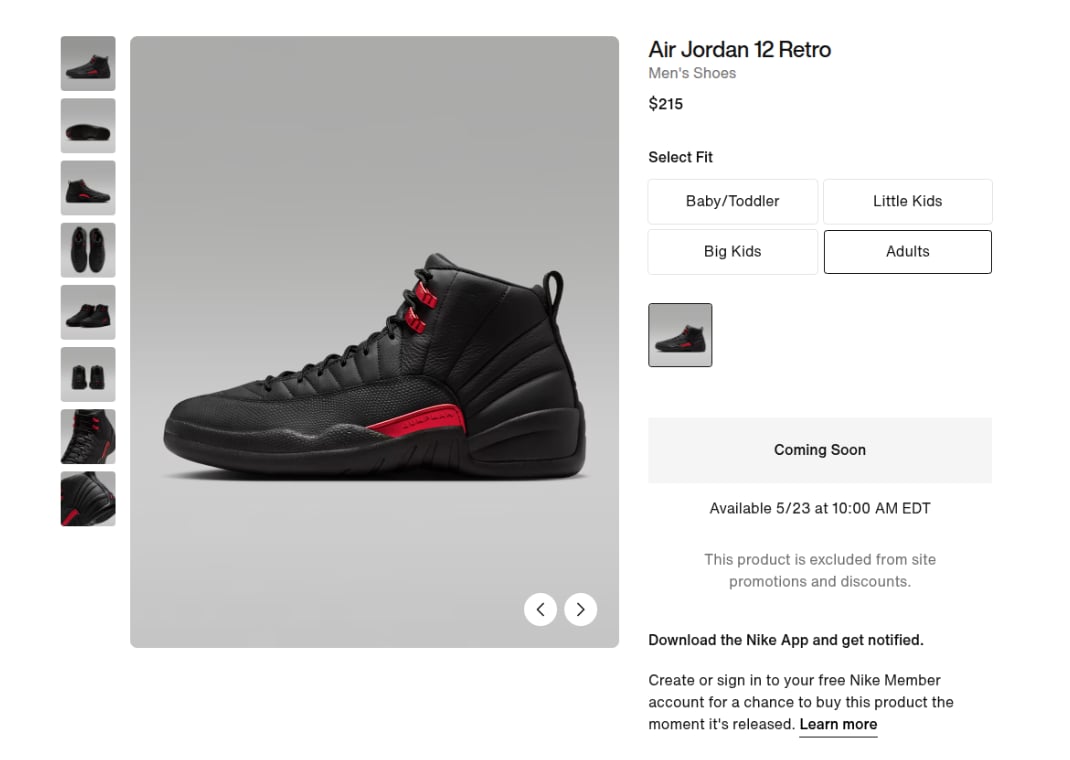 Air Jordan 12 Retro Bloodline