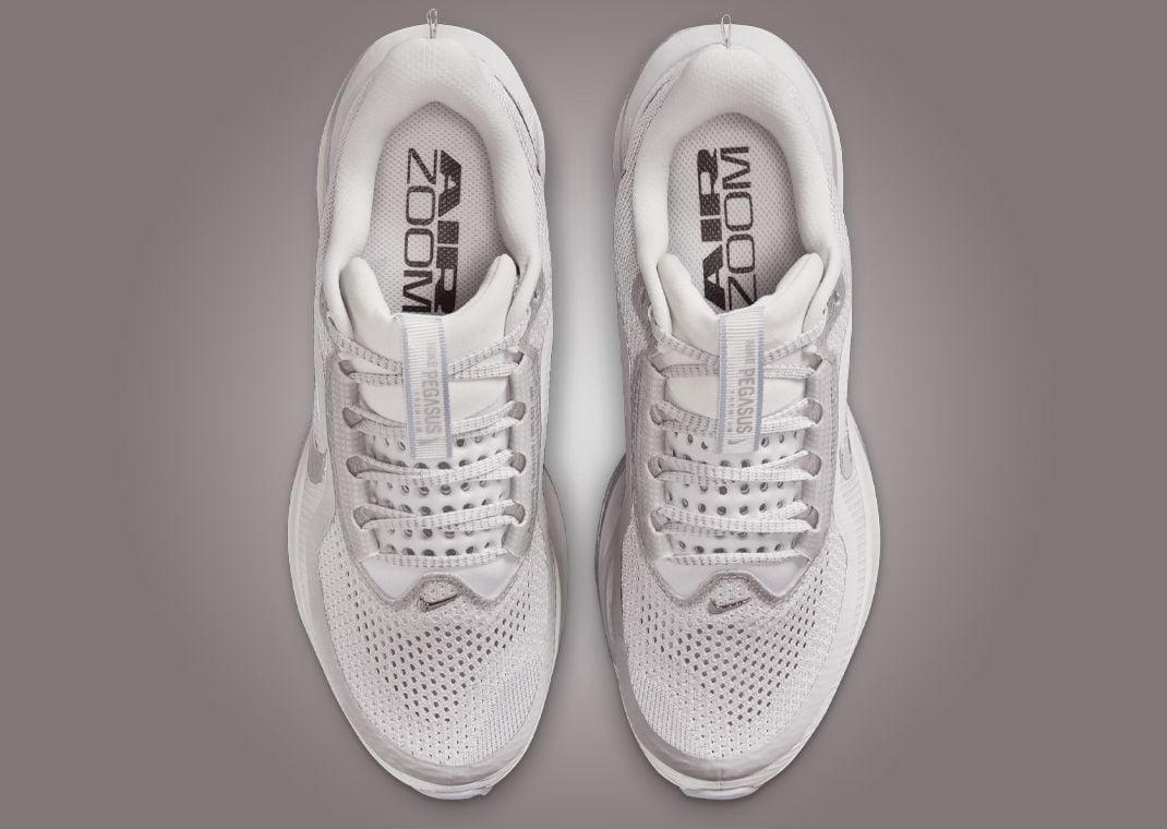 Nike Pegasus Premium Vast Grey (W) Top