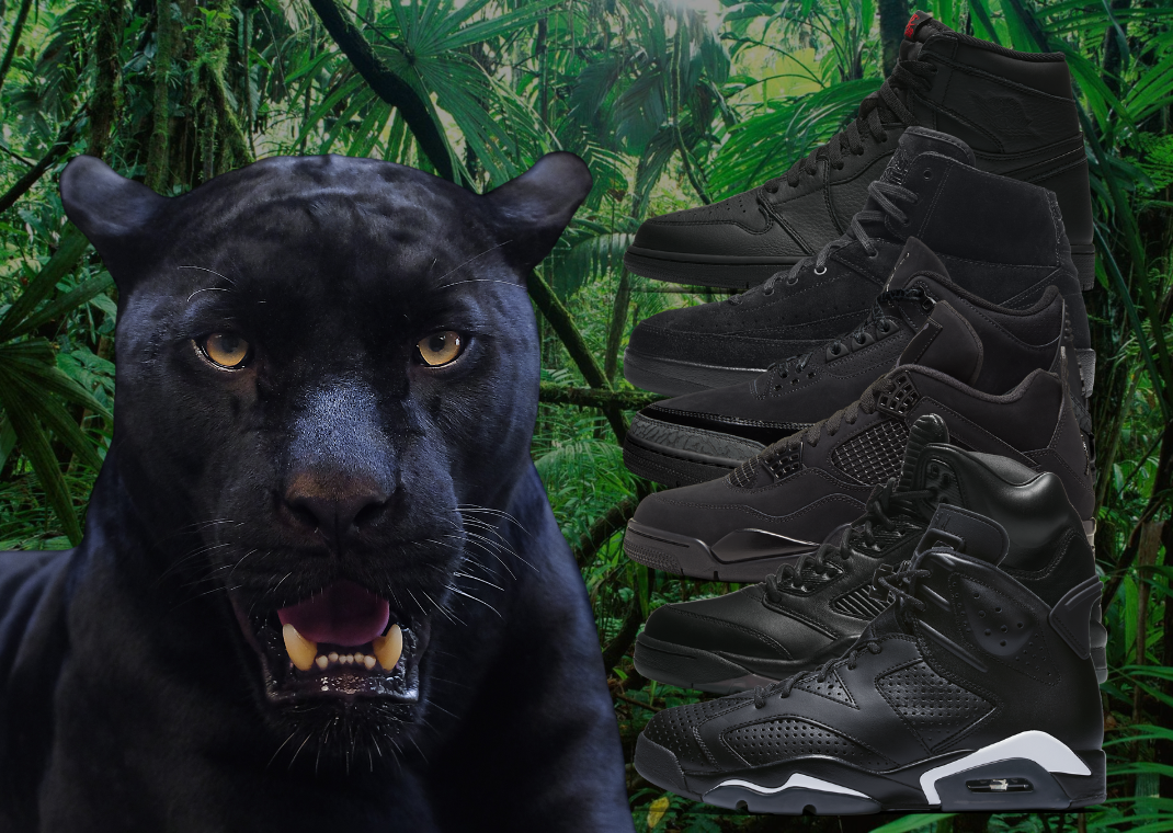 Black Cat Air Jordan Sneakers