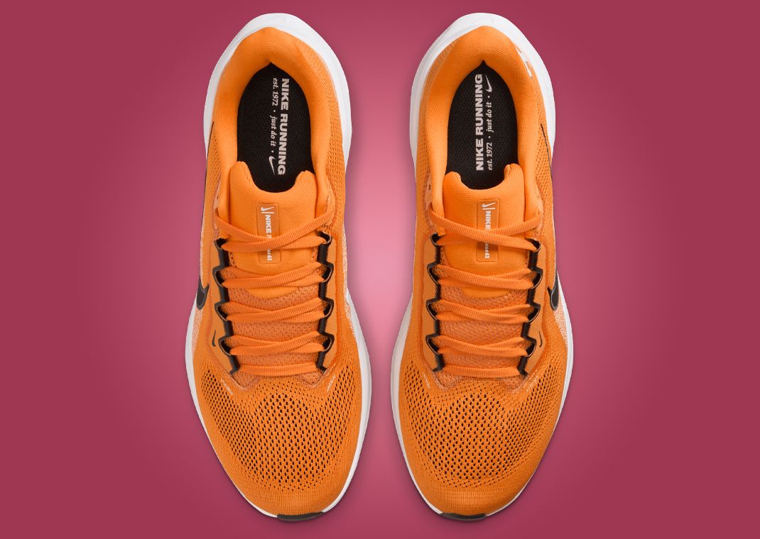 NCAA x Nike Pegasus 41 Tennessee Top
