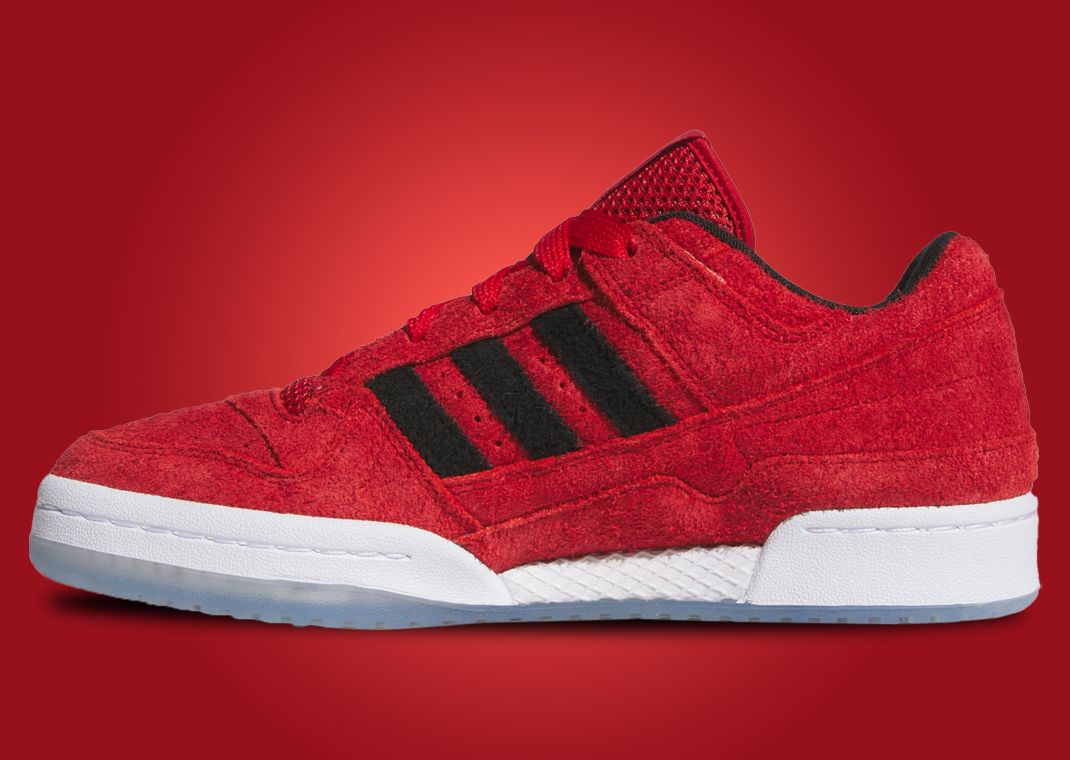 adidas Forum Low Louisville - Medial