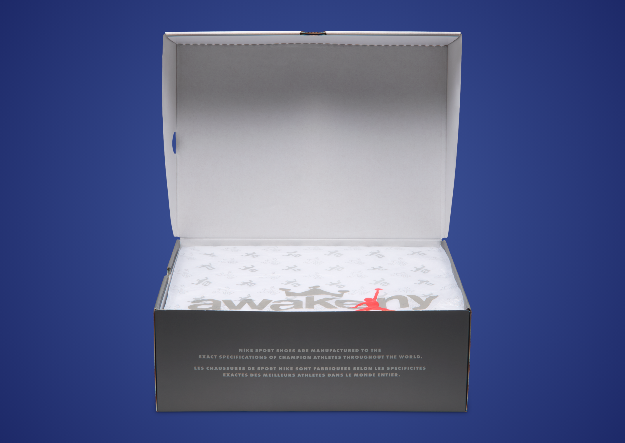 Awake NY x Air Jordan 6 Retro Blueberry Packaging
