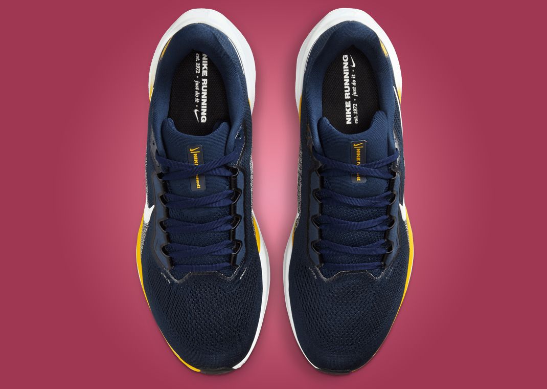 NCAA x Nike Pegasus 41 Michigan Top