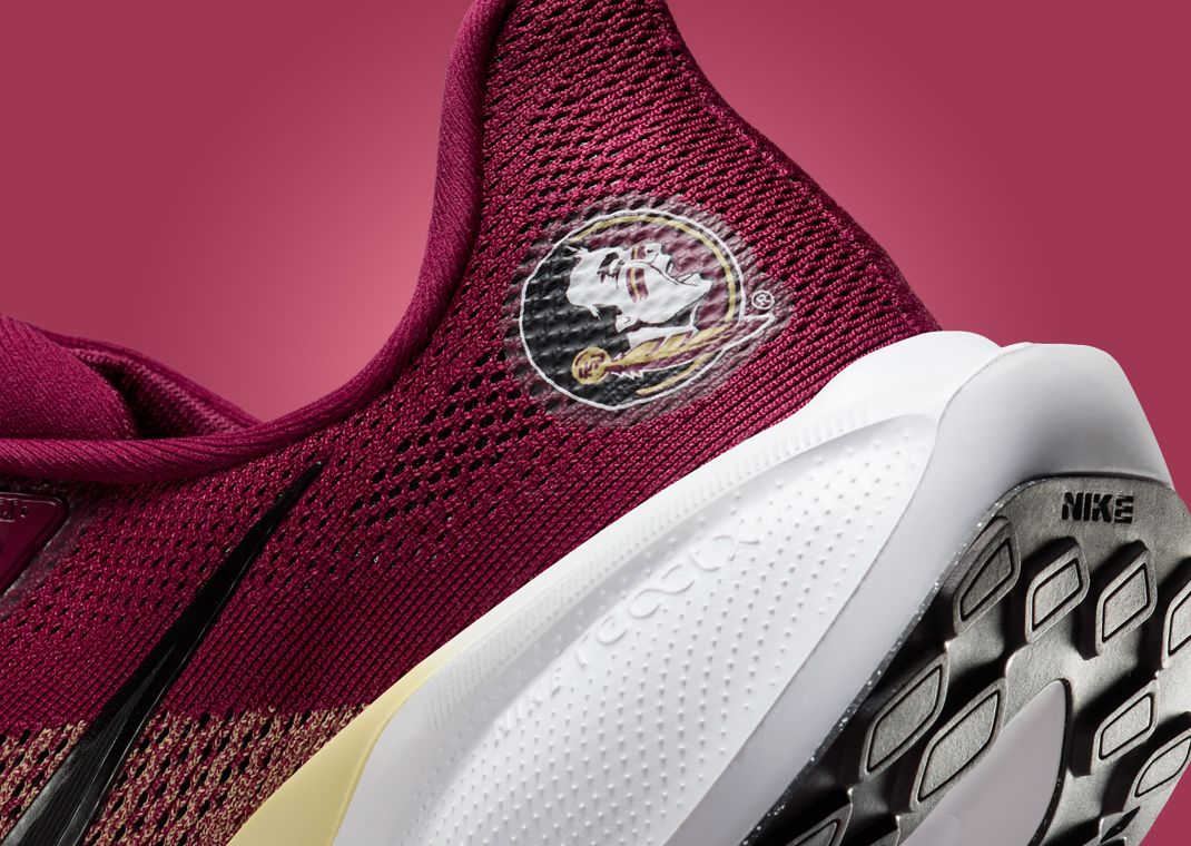NCAA x Nike Pegasus 41 FSU Heel Detail