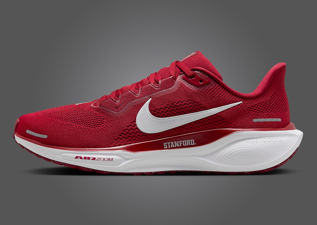 Nike Zoom Pegasus 41 Stanford