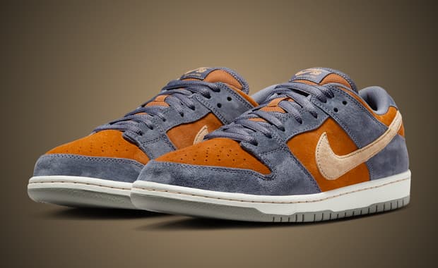 Nike SB Dunk Low Light Carbon Sesame