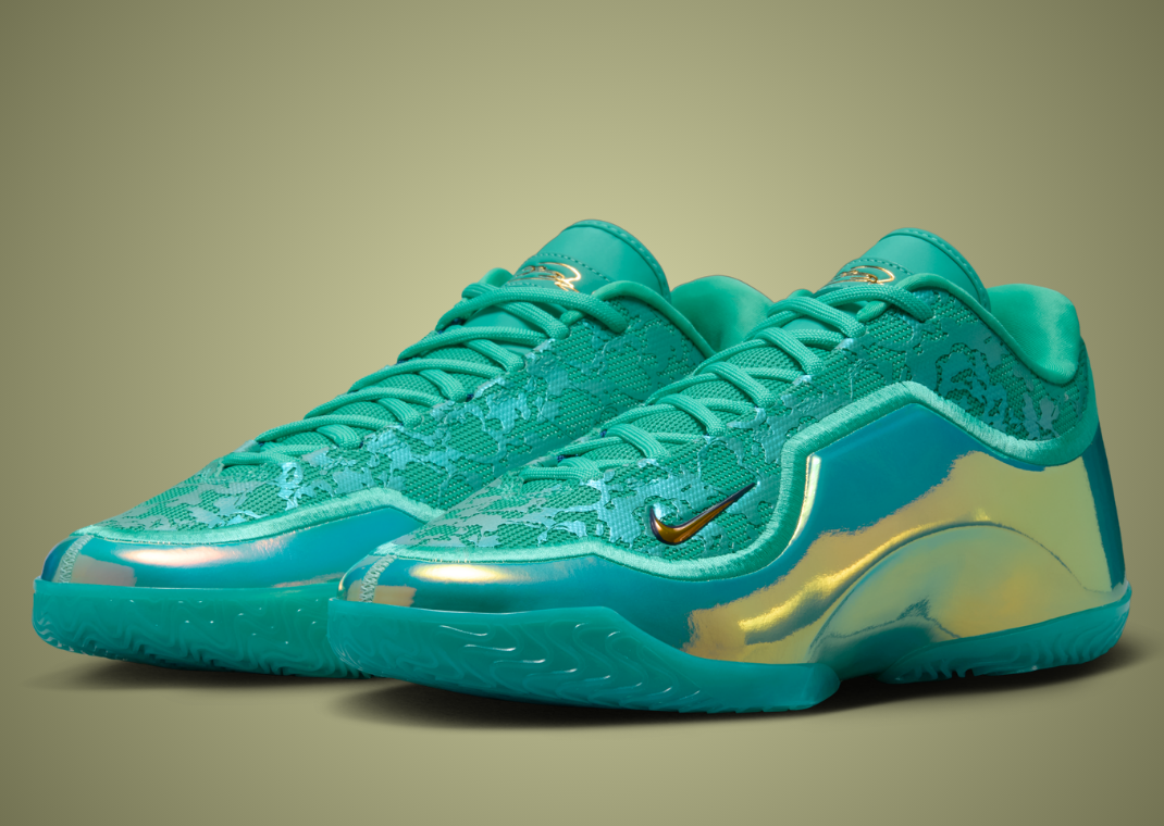 lebron james martin luther king shoes