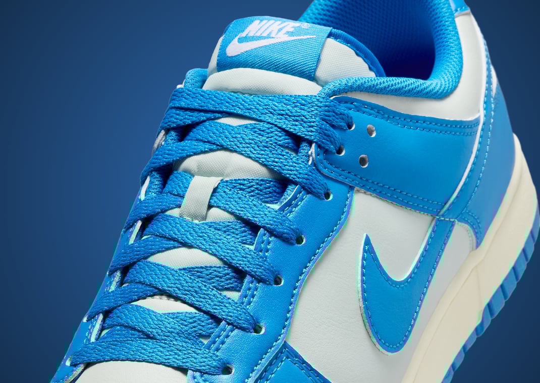 Nike Dunk Low Detroit Lions
