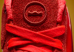 Nike LeBron NXXT Gen By JuJu With Love - Detail