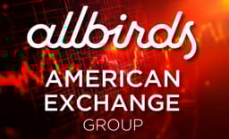 Once Valued at $4 Billion, Shoe Brand Allbirds Sells for Just $39 Million