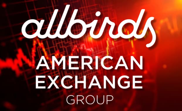 Allbirds sells for $39 Million