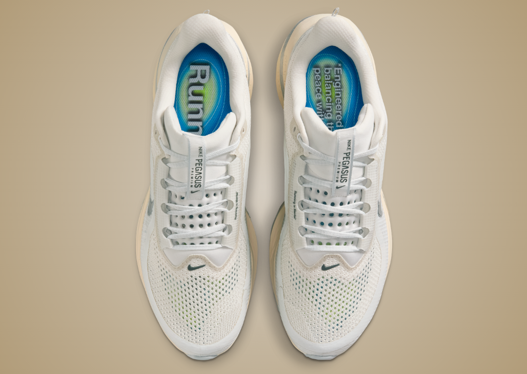 Nike Pegasus Premium Running is Mental - Top