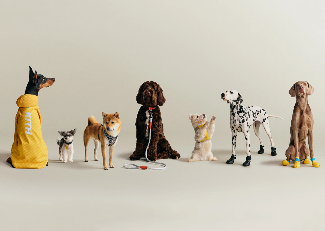 Kith x wagwear Collection