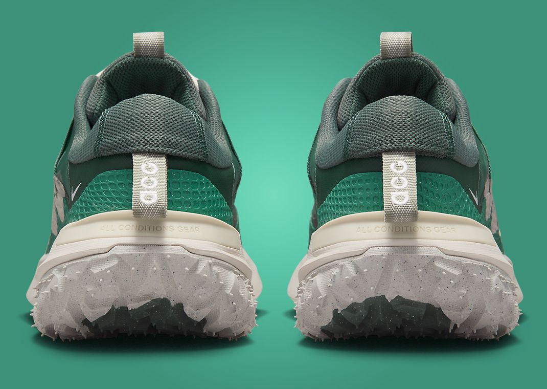 Nike ACG Mountain Fly 2 Low Bicoastal Back
