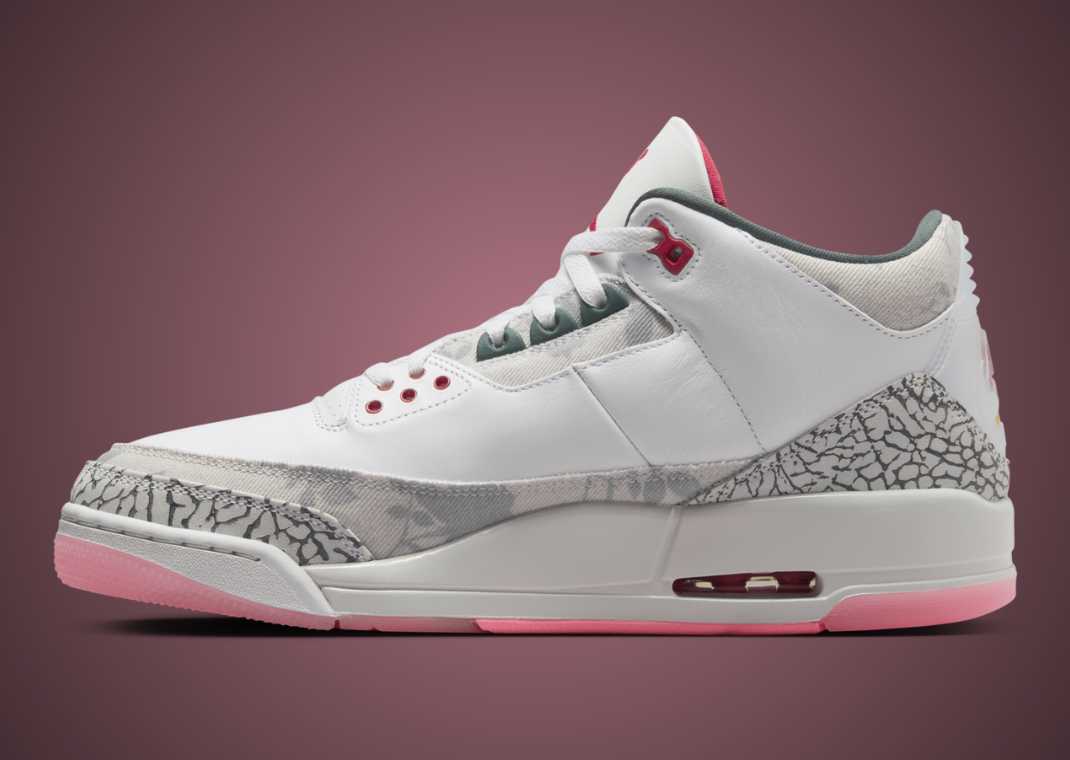 Air Jordan 3 Retro Wings Medial