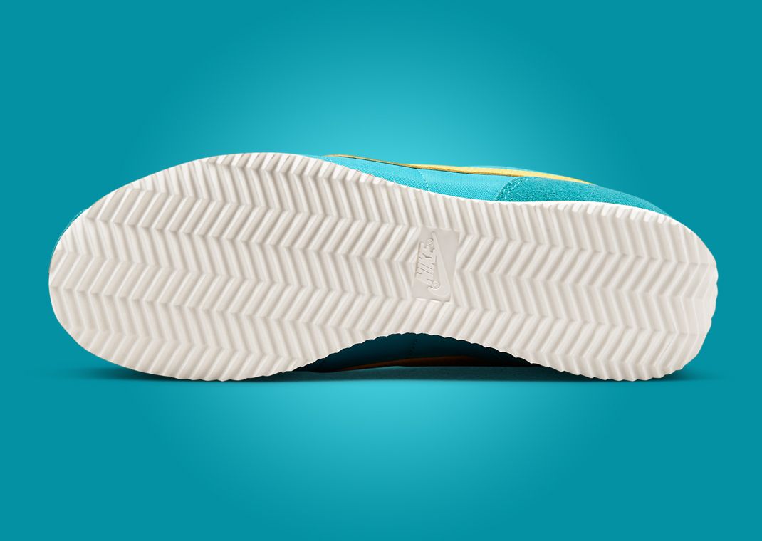 nike cortez aqua