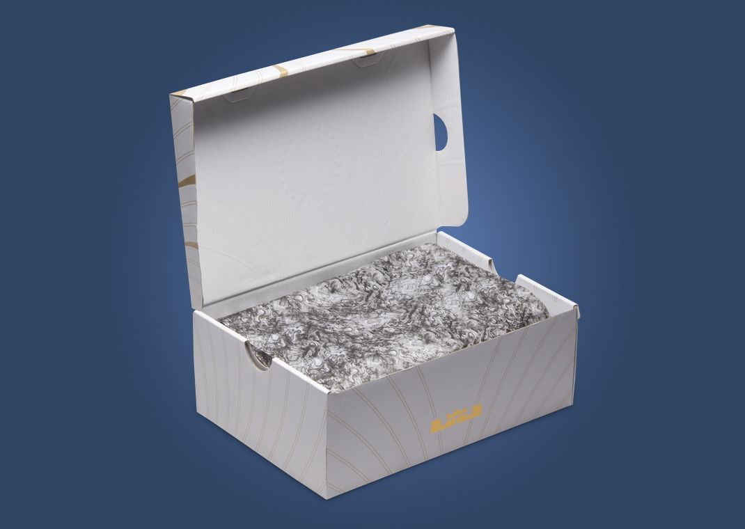Nike LeBron 21 Aragonite Packaging