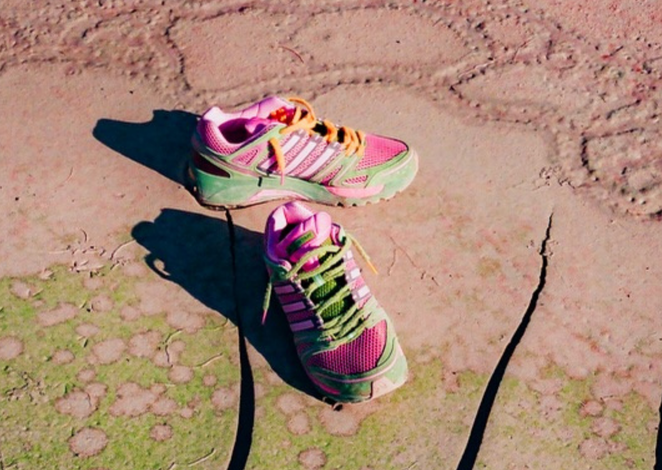 Tipping Point Coffee x adidas Adistar Control 5 Cactus Flower
