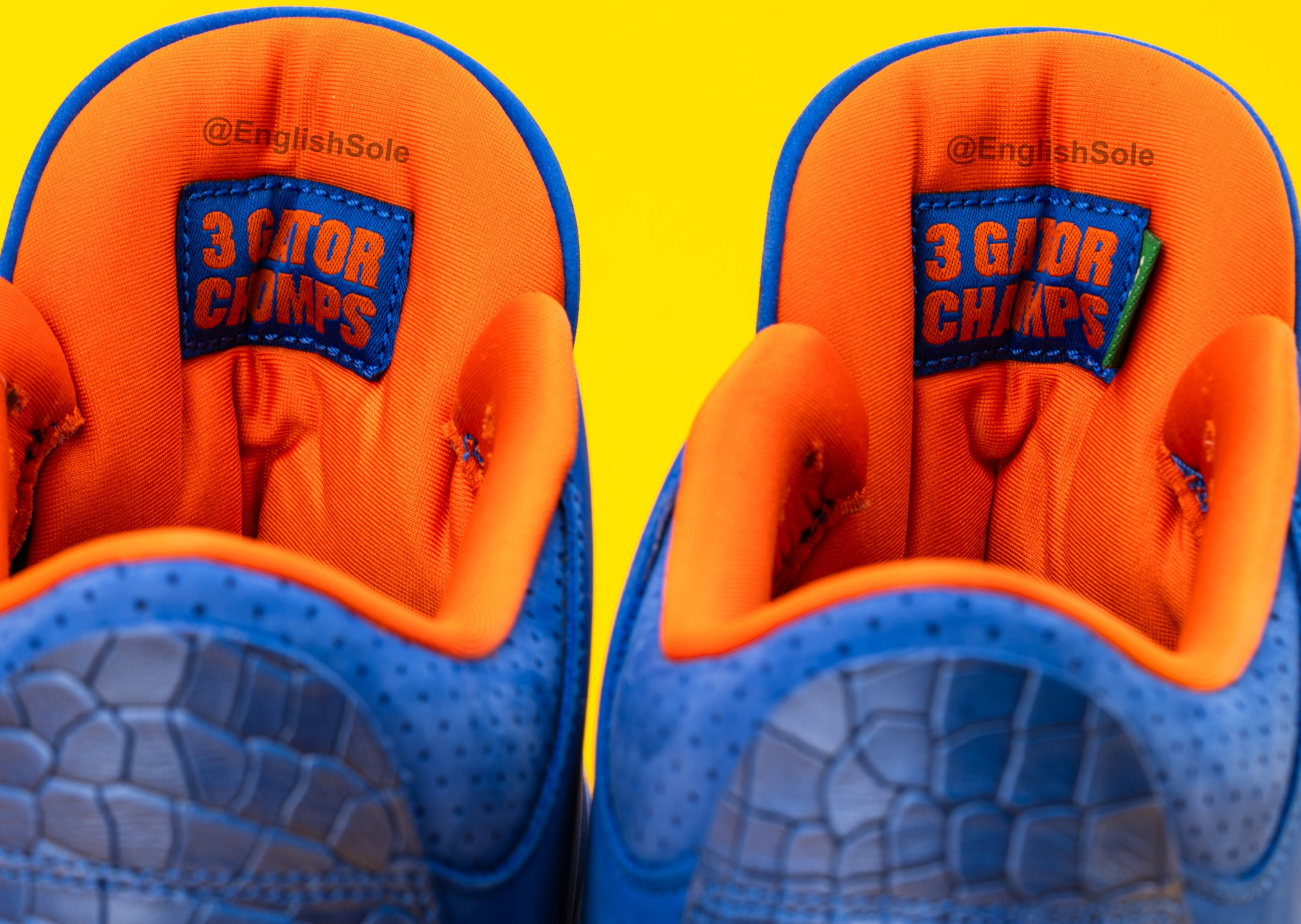 Air Jordan 3 Retro Florida Gators National Champions PE