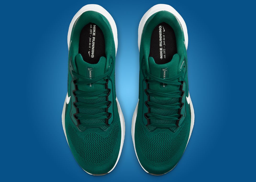NFL x Nike Pegasus 41 Philadelphia Eagles Top