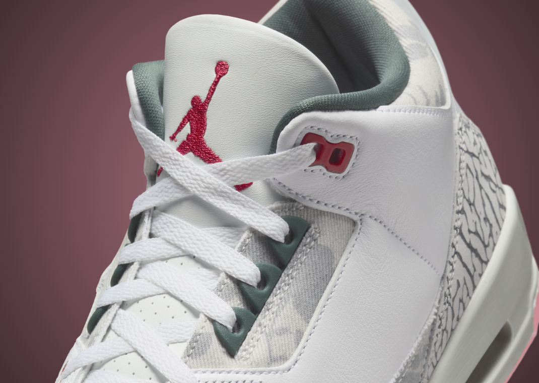 Air Jordan 3 Retro Wings Tongue