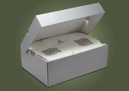Undefeated x Air Jordan 4 Retro OG SP Packaging