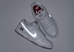 Supreme x Nike SB Dunk Low White Metallic Silver Angle 3M