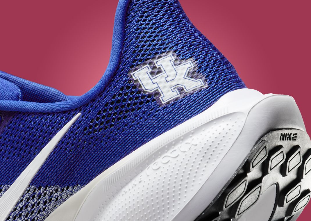 NCAA x Nike Pegasus 41 Kentucky Heel Detail