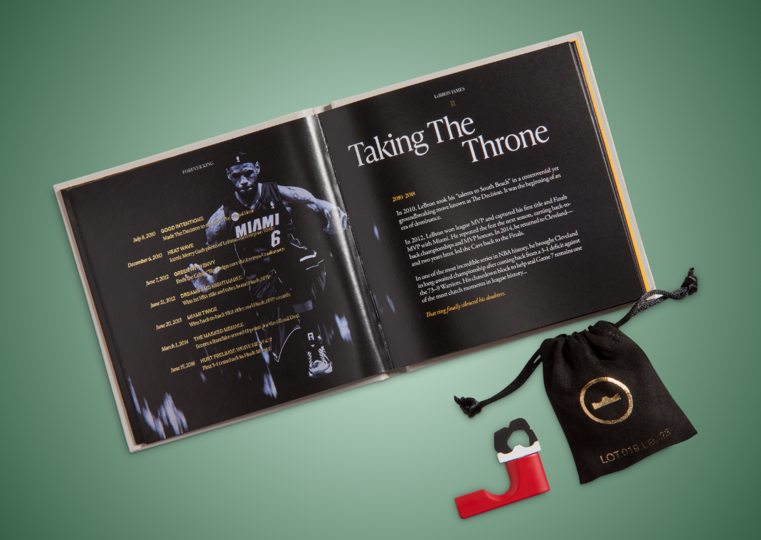 Nike LeBron 23 Christmas - Packaging