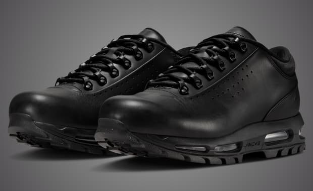 Nike Air Max Goadome Low Black