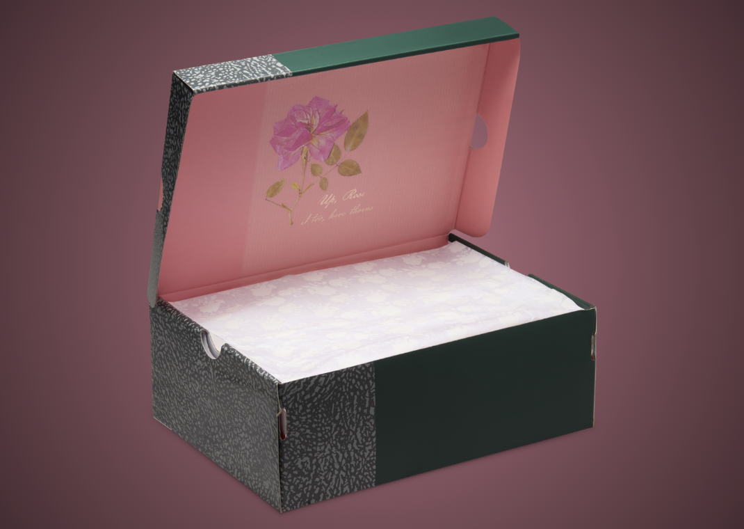Air Jordan 3 Retro Wings Packaging