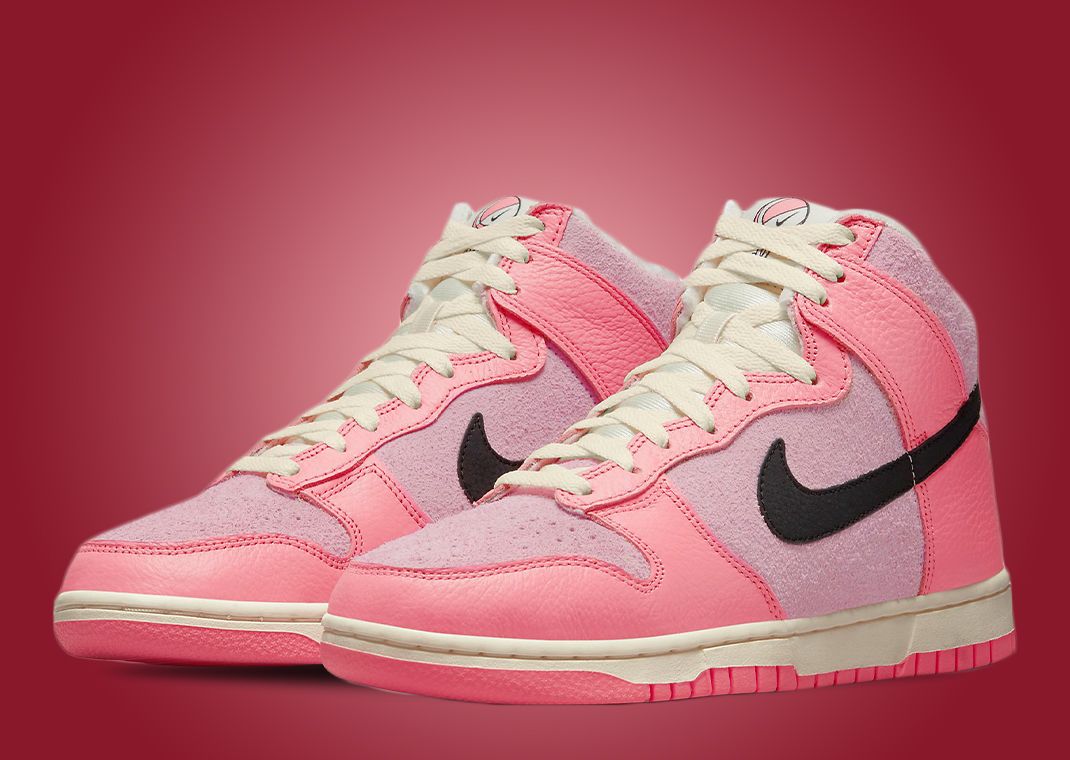 Nike Dunk High Hoops (W)