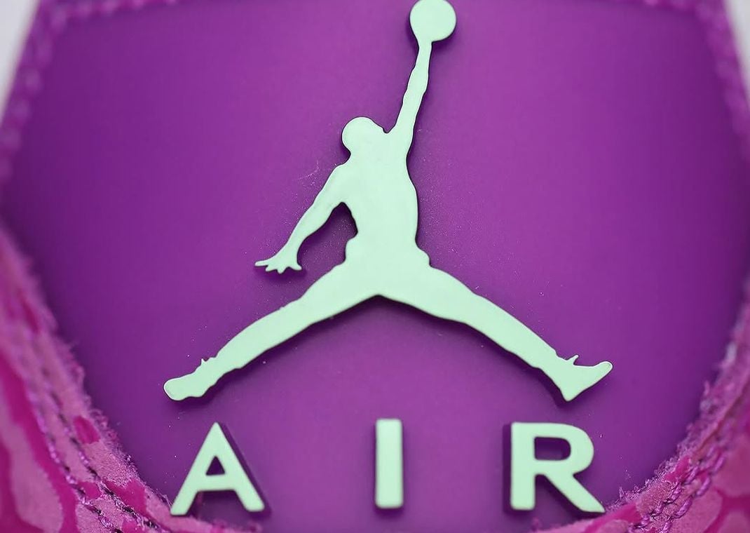 Air Jordan 3 Retro Joker (GS)