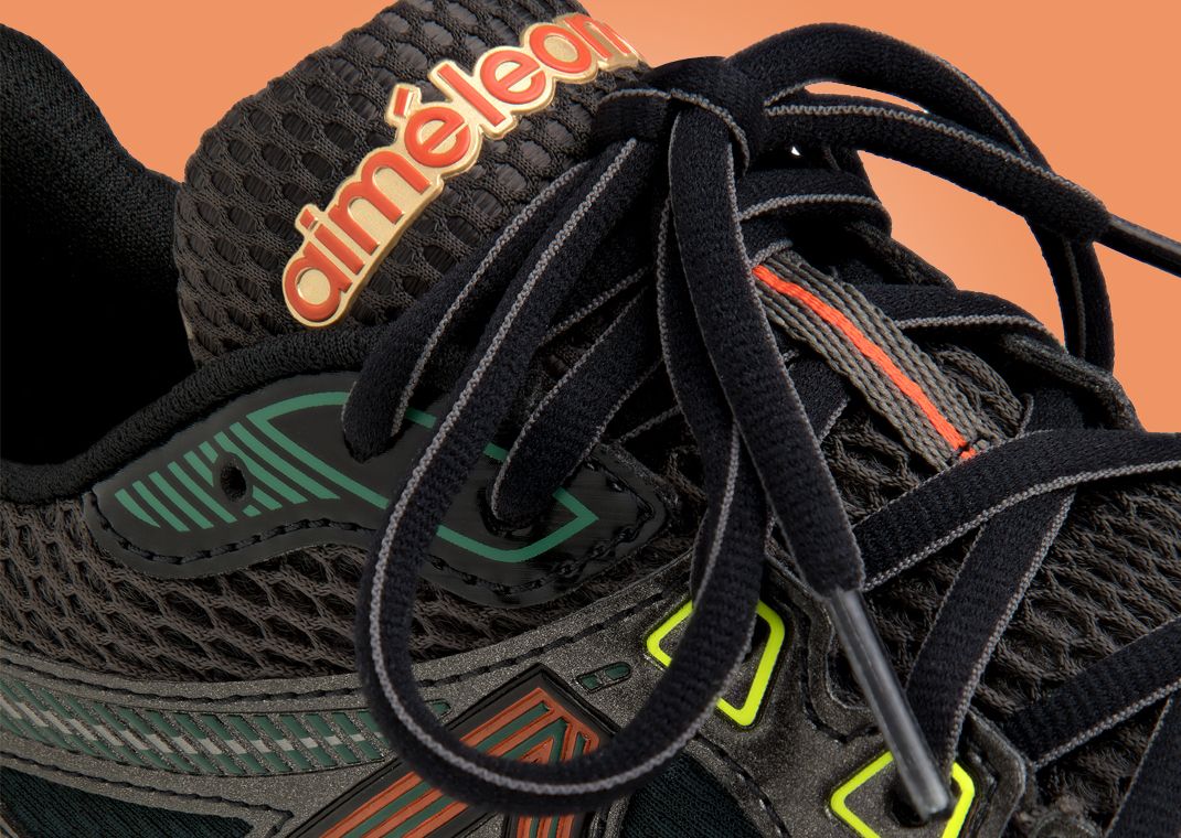 Aime Leon Dore x New Balance 860v2 Black Multi-Color Detail
