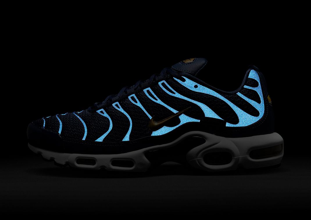 The French Football Federation Gets Its Very Own Nike Air Max Plus