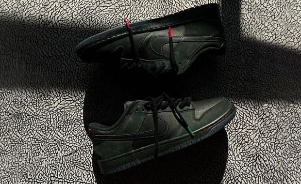 Nike Dunk Low Legacy 365